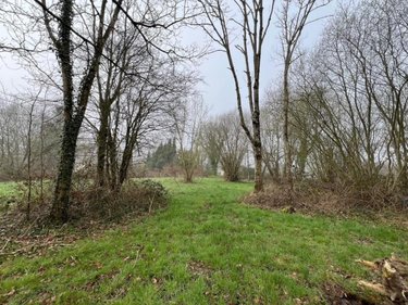 Divers a vendre Courtonne-les-Deux-Églises 14290 Calvados 4280 m2  26500 euros