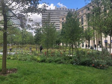 Appartement a vendre Paris 14e arrondissement 75014 Paris 34 m2 2 pièces 349500 euros
