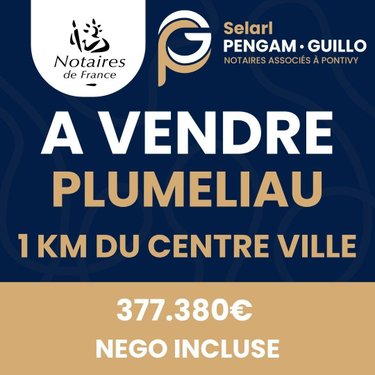 Maison a vendre Pluméliau-Bieuzy 56930 Morbihan 223 m2 6 pièces 377380 euros