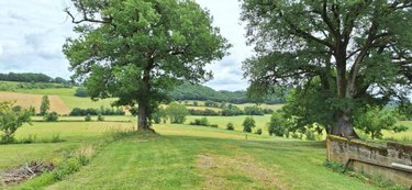 Maison a vendre Bassoues 32320 Gers 250 m2 10 pièces 397000 euros