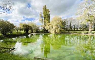 Maison a vendre Nouans 72260 Sarthe 271 m2 9 pièces 299900 euros