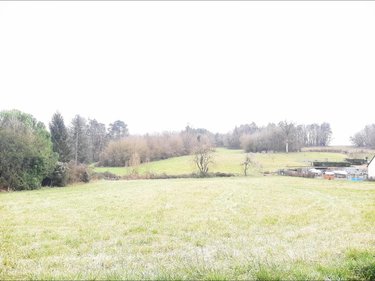 Terrain a batir a vendre Neuil 37190 Indre-et-Loire 5063 m2  131400 euros