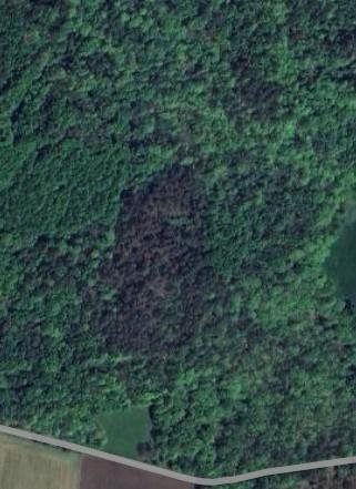 Terrains de loisirs bois etangs a vendre Nostang 56690 Morbihan 192760 m2  99860 euros
