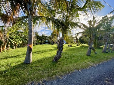 Terrain a batir a vendre Sainte-Suzanne 97441 Réunion 2589 m2  574750 euros