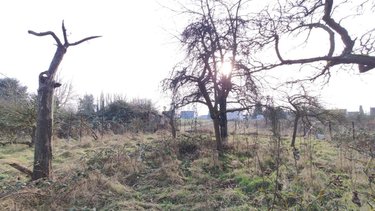 Maison a vendre Beaurains 62217 Pas-de-Calais 60 m2 3 pièces 161700 euros