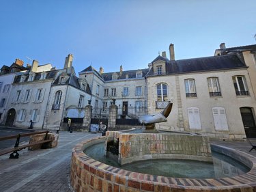 Maison a vendre Montargis 45200 Loiret 556 m2  385000 euros