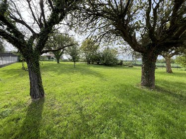 Terrain a batir a vendre Pizay 01120 Ain 577 m2  130000 euros