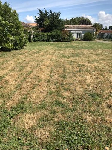 Terrain a batir a vendre Saint-Laurent-de-la-Prée 17450 Charente-Maritime 1032 m2  142020 euros