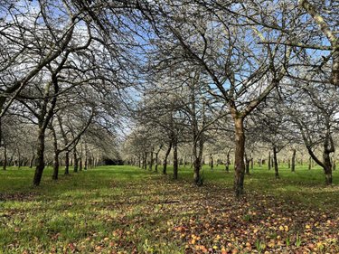 Maison a vendre La Forêt-Fouesnant 29940 Finistère 130 m2 7 pièces 292600 euros