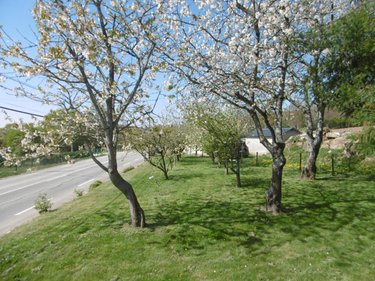Maison a vendre Bion 50140 Manche 67 m2 4 pièces 137150 euros