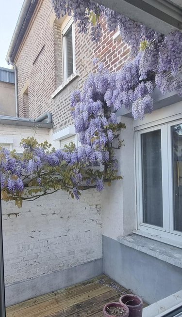 Maison a vendre Arras 62000 Pas-de-Calais 150 m2 5 pièces 259000 euros