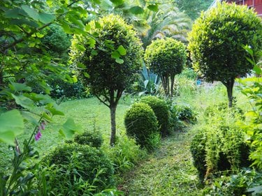 Maison a vendre Plonéour-Lanvern 29720 Finistère 143 m2 3 pièces 389500 euros