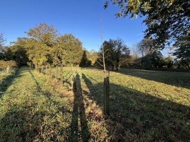 Terrains de loisirs bois etangs a vendre Plumaudan 22350 Côtes-d'Armor 5908 m2  39700 euros