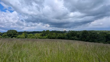 Terrains de loisirs bois etangs a vendre Ver 50450 Manche 149677 m2  137920 euros