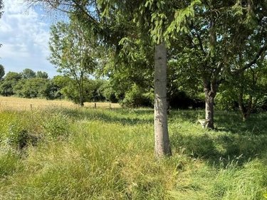 Maison a vendre Saint-Denis-de-Mailloc 14100 Calvados 100 m2  167400 euros