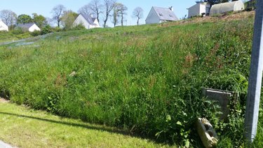 Terrain a batir a vendre Le Quillio 22460 Côtes-d'Armor 731 m2  11000 euros