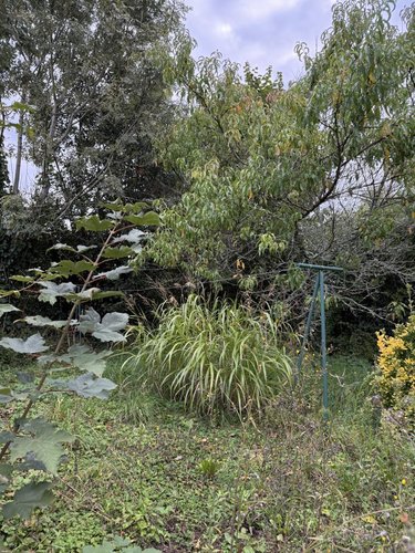 Maison a vendre Saint-Avé 56890 Morbihan 85 m2 4 pièces 196610 euros