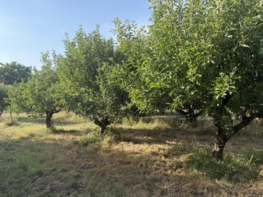 Terrains de loisirs bois etangs a vendre La Chaize-Giraud 85220 Vendée 3268 m2  21400 euros