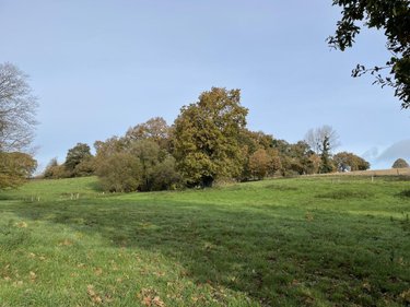 Maison a vendre Langast 22150 Côtes-d'Armor 60 m2  85040 euros