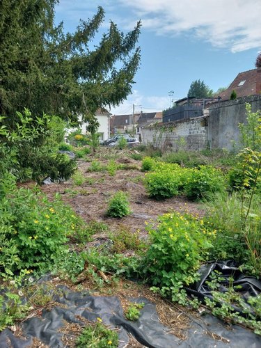 Maison a vendre Aubigny-en-Artois 62690 Pas-de-Calais 131 m2 7 pièces 119000 euros