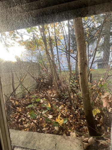 Maison a vendre Lorient 56100 Morbihan 47 m2 2 pièces 94644 euros