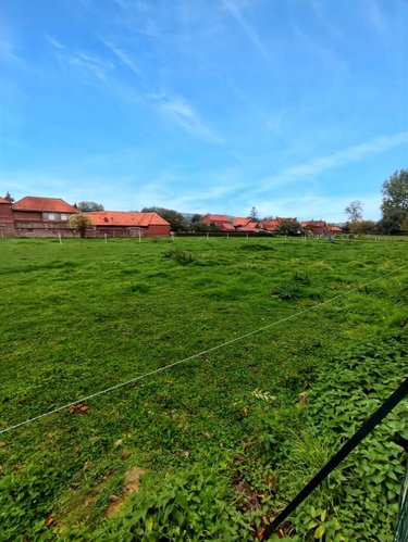 Maison a vendre Ecques 62129 Pas-de-Calais 100 m2 5 pièces 234000 euros