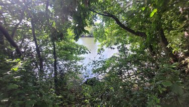 Terrains de loisirs bois etangs a vendre Précigné 72300 Sarthe 3999 m2  5000 euros