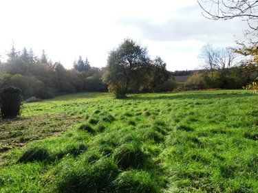 Maison a vendre Langoëlan 56160 Morbihan 160 m2 9 pièces 272950 euros