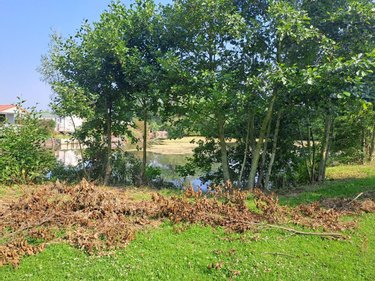 Fonds et murs commerciaux a vendre Ardres 62610 Pas-de-Calais 100 m2  693548 euros