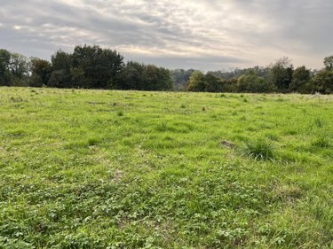 Terrain a batir a vendre Saint-Éloi 01800 Ain 12310 m2  525000 euros