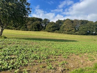 Maison a vendre Le Mené 22330 Côtes-d'Armor 120 m2  63000 euros