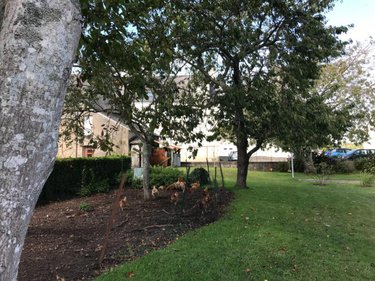 Terrain a batir a vendre Merlevenez 56700 Morbihan 478 m2  93600 euros