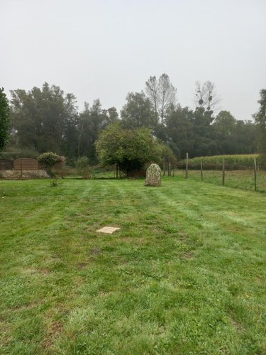 Maison a vendre Calan 56240 Morbihan 321 m2  398360 euros