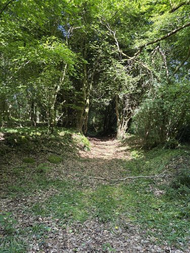 Terrains de loisirs bois etangs a vendre Noues de Sienne 14380 Calvados 185705 m2  399000 euros