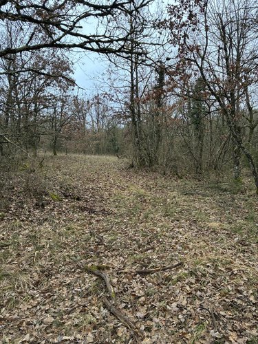 Terrains de loisirs bois etangs a vendre Saint-Jean-d'Alcapiès 12250 Aveyron 80070 m2  54000 euros