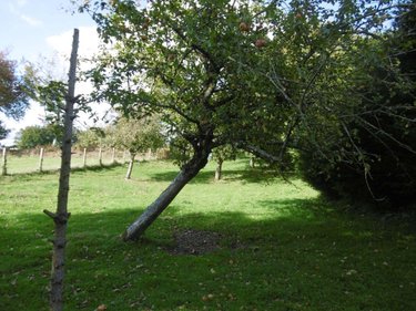 Maison a vendre Tinchebray Bocage 61800 Orne 118 m2 5 pièces 147700 euros