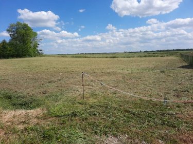 Terrain a batir a vendre Gron 18800 Cher 2494 m2  19500 euros