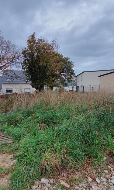 Terrain a batir a vendre Plonéour-Lanvern 29720 Finistère 406 m2  55100 euros