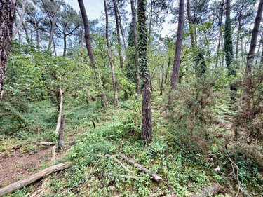 Maison a vendre Crach 56950 Morbihan 95 m2 5 pièces 179900 euros