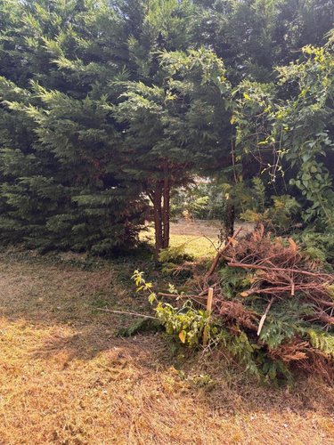 Terrain a batir a vendre Crouzilles 37220 Indre-et-Loire 2334 m2  33600 euros