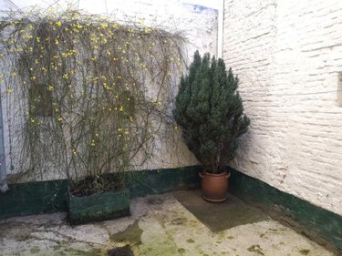 Maison a vendre Cambrai 59400 Nord 91 m2 3 pièces 93500 euros