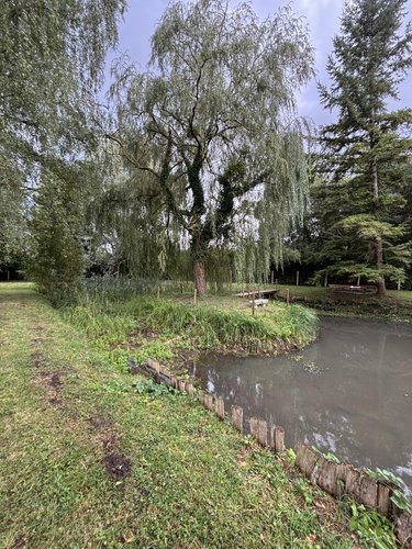 Terrains de loisirs bois etangs a vendre Le Grand-Lucé 72150 Sarthe 3221 m2  37000 euros