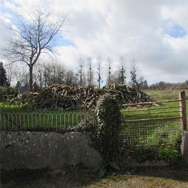 Terrains de loisirs bois etangs a vendre Chérencé-le-Héron 50800 Manche 434 m2  6800 euros