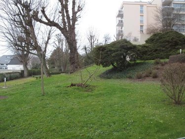 Location appartement Rouen 76000 Seine-Maritime 63 m2 2 pièces 905 euros