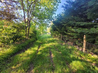 Terrains de loisirs bois etangs a vendre Courtillers 72300 Sarthe 7256 m2  6000 euros
