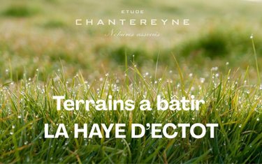 Terrain a batir a vendre La Haye-d'Ectot 50270 Manche 557 m2  51129 euros