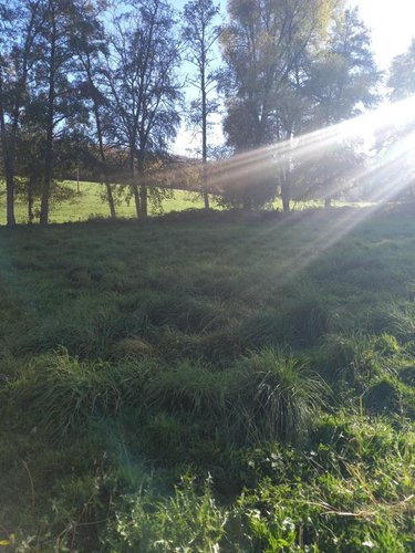 Terrain a batir a vendre Devecey 25870 Doubs 763 m2  128160 euros