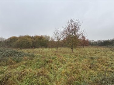 Terrains de loisirs bois etangs a vendre La Bazouge-des-Alleux 53470 Mayenne 53870 m2  48000 euros