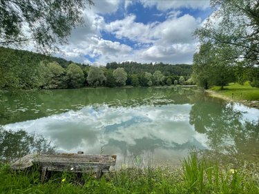 Terrains de loisirs bois etangs a vendre Aromas 39240 Jura 128600 m2  160000 euros