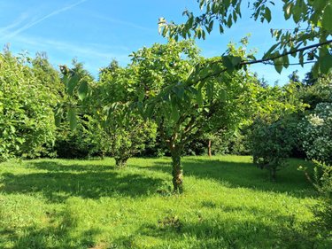 Maison a vendre Bricquebec-en-Cotentin 50260 Manche 160 m2 8 pièces 177500 euros
